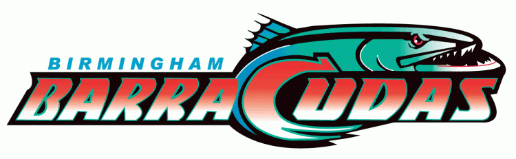 birmingham barracudas 1995 primary logo iron on transfers for T-shirts